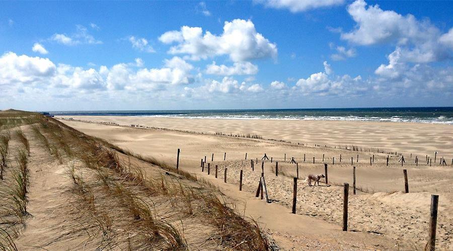 Tranquilo Petten